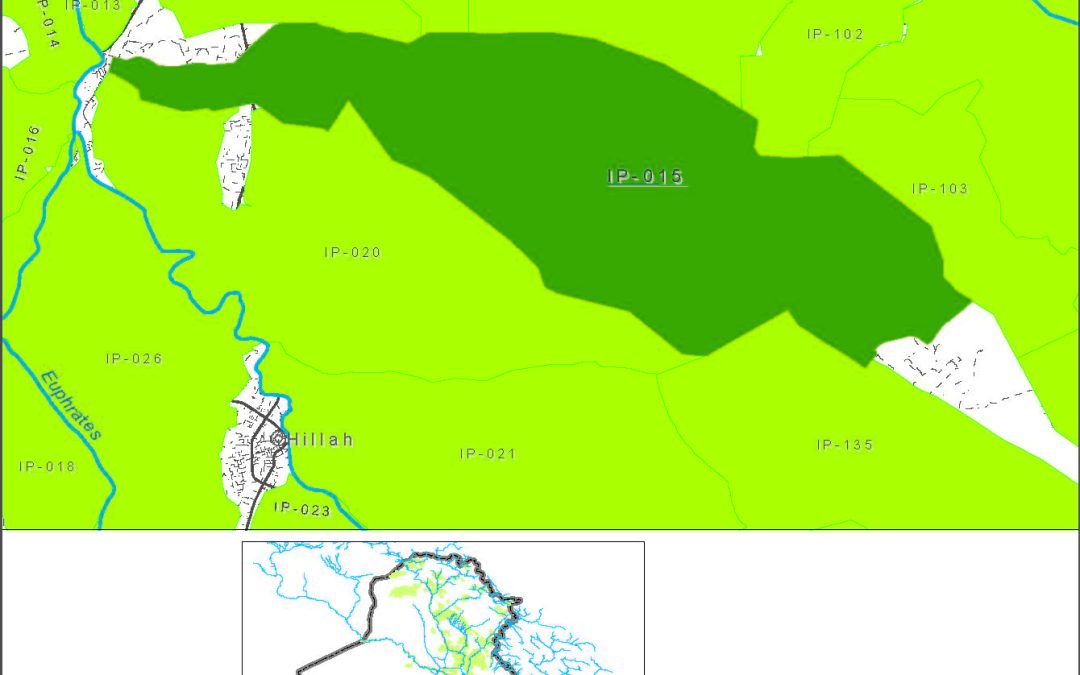 Greater Mussaiyab