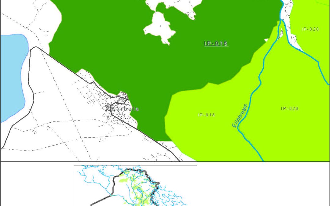 Husainiyah