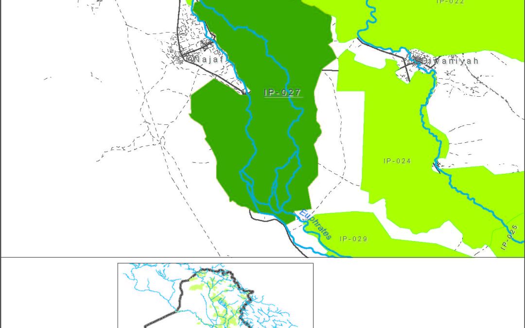 Kifil-Shinafiyah