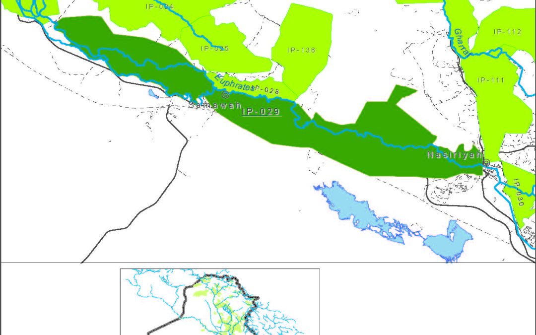 Shinafiyah – Nasiriyah