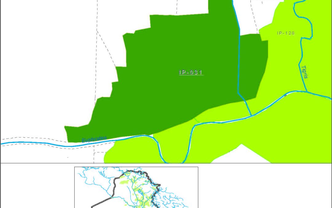 Small farms in the Euphrates river mouth