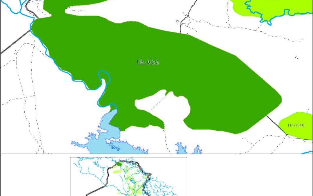 Small farms from the boundary up to Mosul dam and Salifaniya