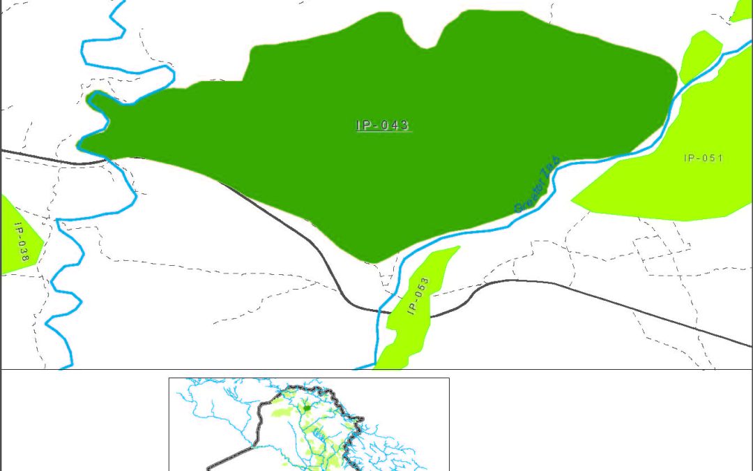 Small farms at springs in the Neinewa muhafadha in the Greater Zab river basin
