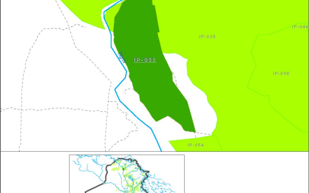 Sallamiyah