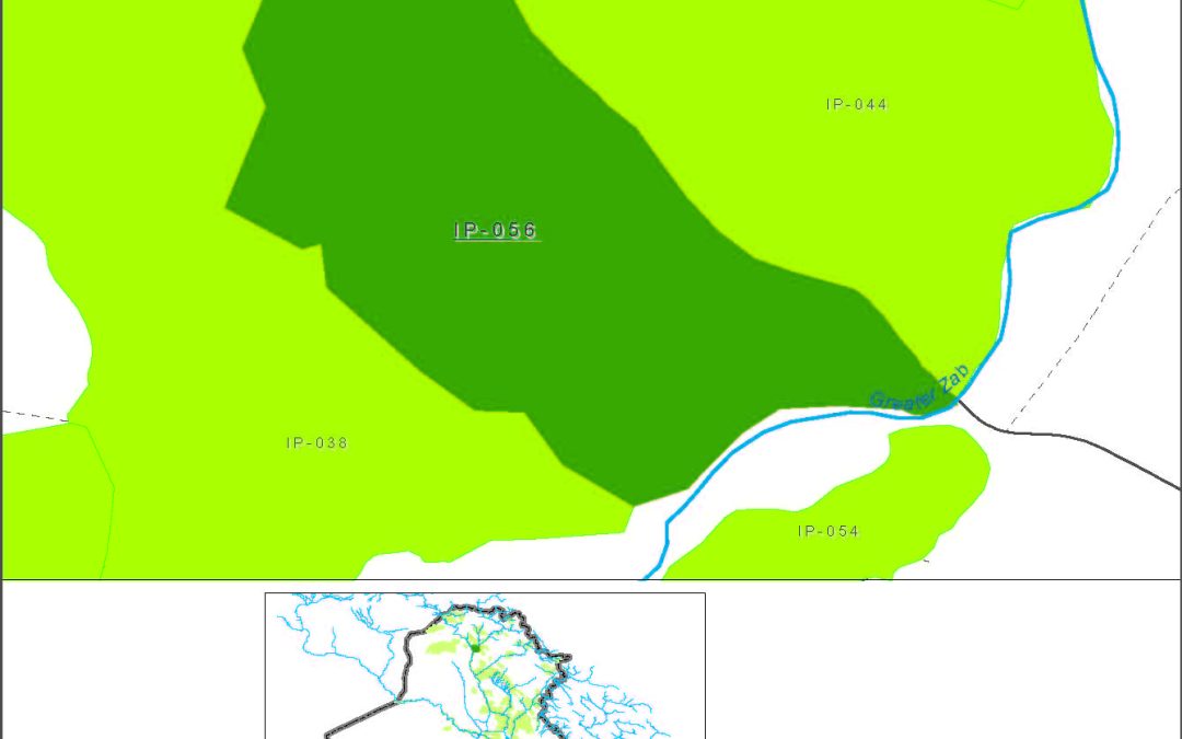 Small farms at wells in the Neinewa muhafadha in the Greater Zab river basin