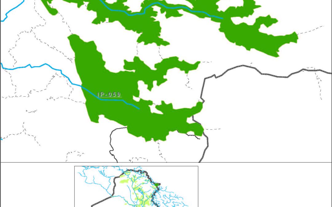 Penjwin