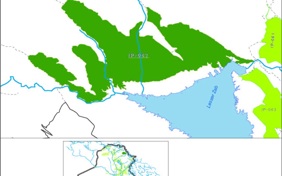 Ranya – Sarujawa
