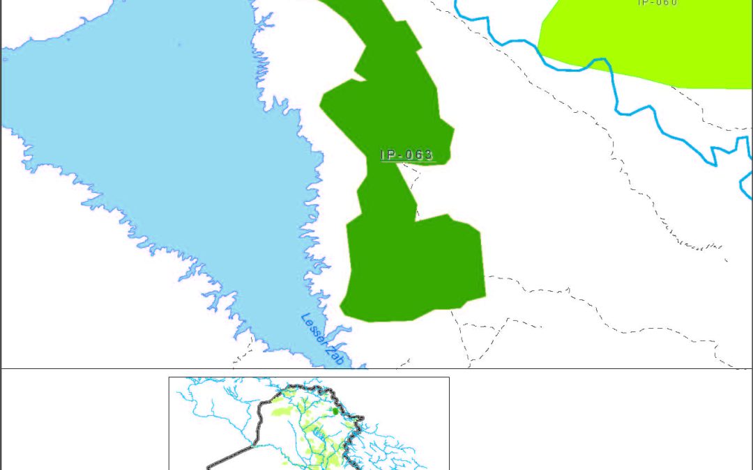 Sarsiyan