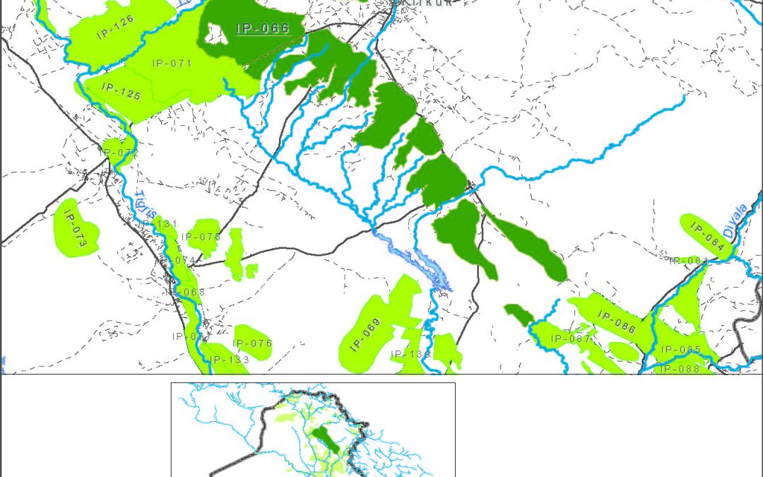 Kirkuk