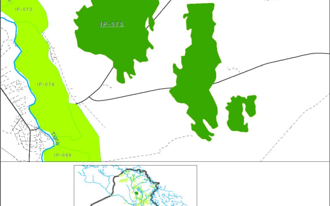 Upper Naifah