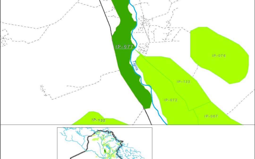 Al-Aoja  & Dijle