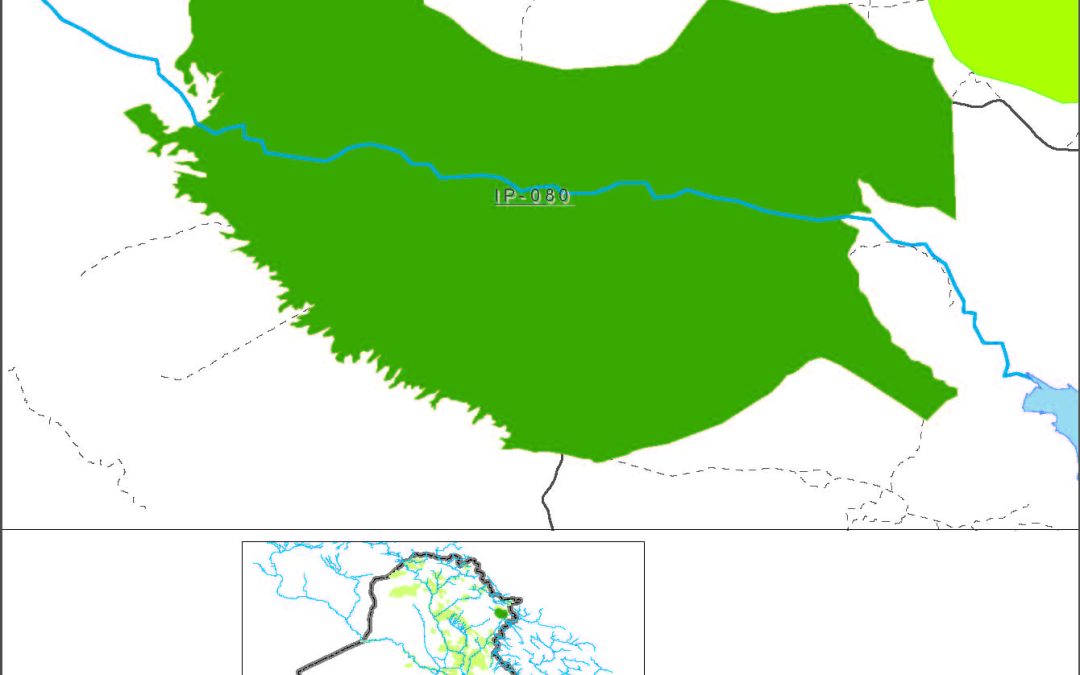 Shahrazur