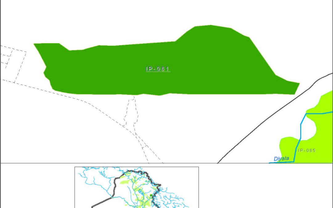 Kalar