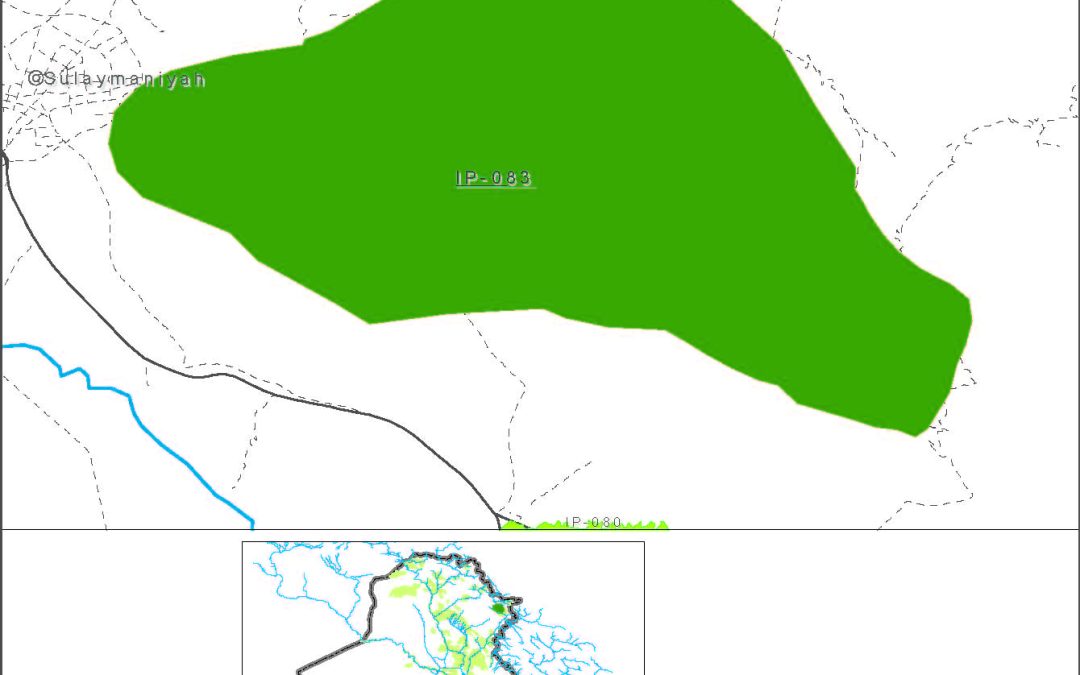 Small farms at springs in the Sulaimaniya muhafadha in the Diyala river basin