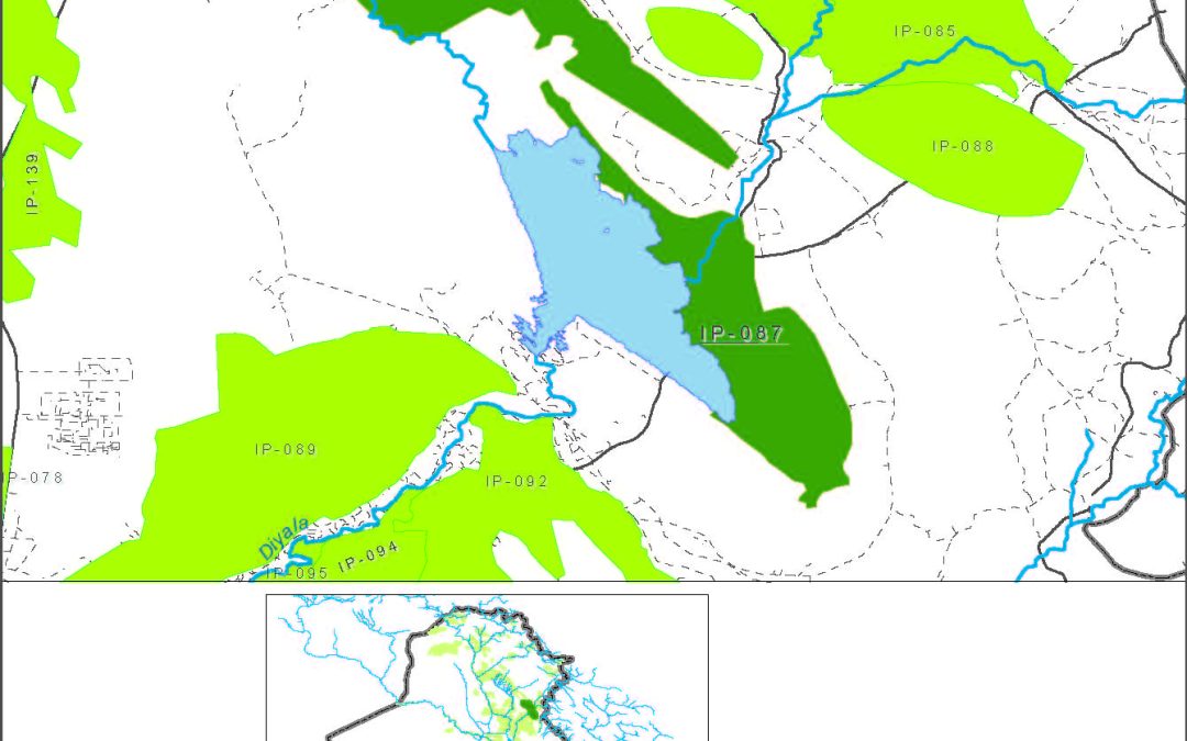 Jalawla & Al-Sa’adiyah