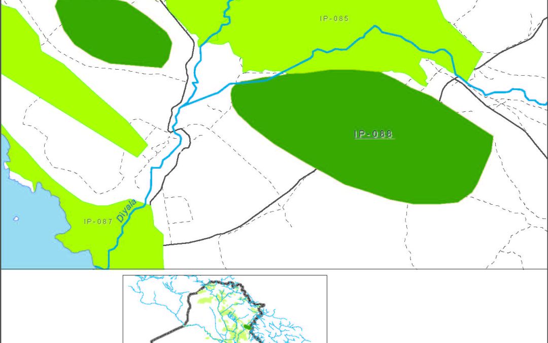 Small farms at  wells in the Diyala muhafadha in the Diyala river basin