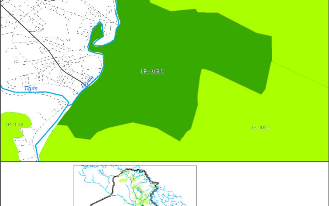 Small farms on left bank of the Diyala and Tigris river south of Baghdad