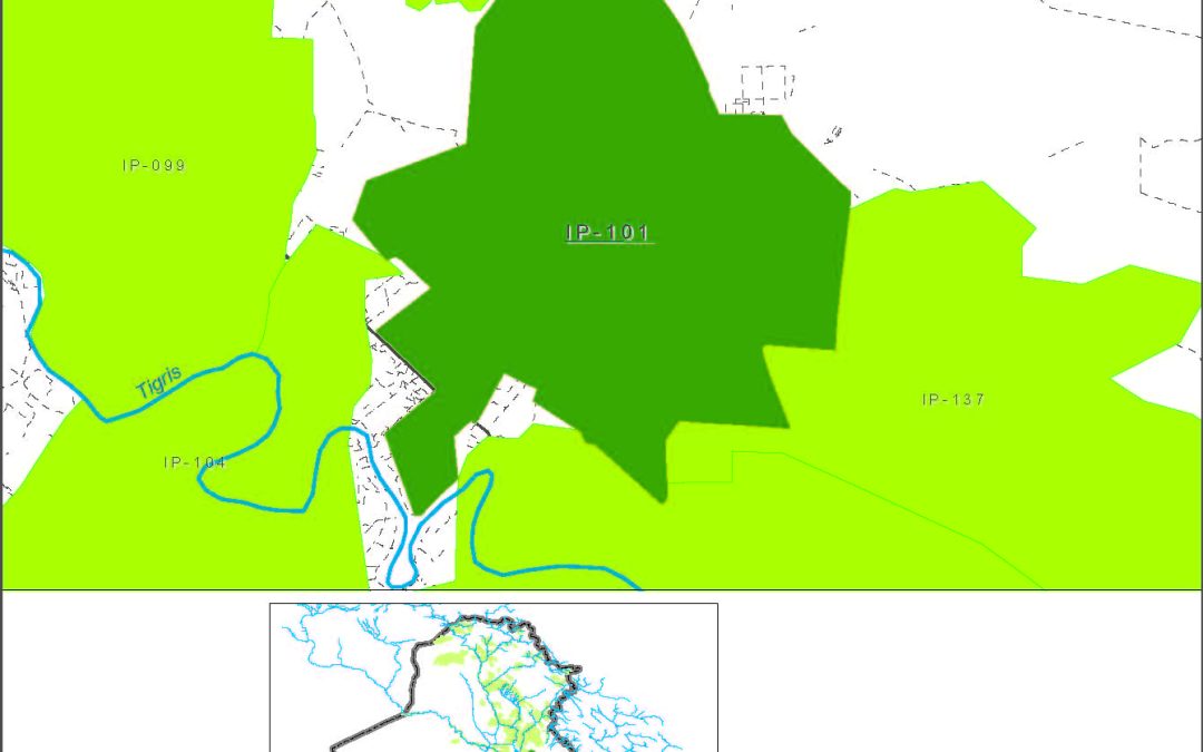 Suwaira (Hafriah)