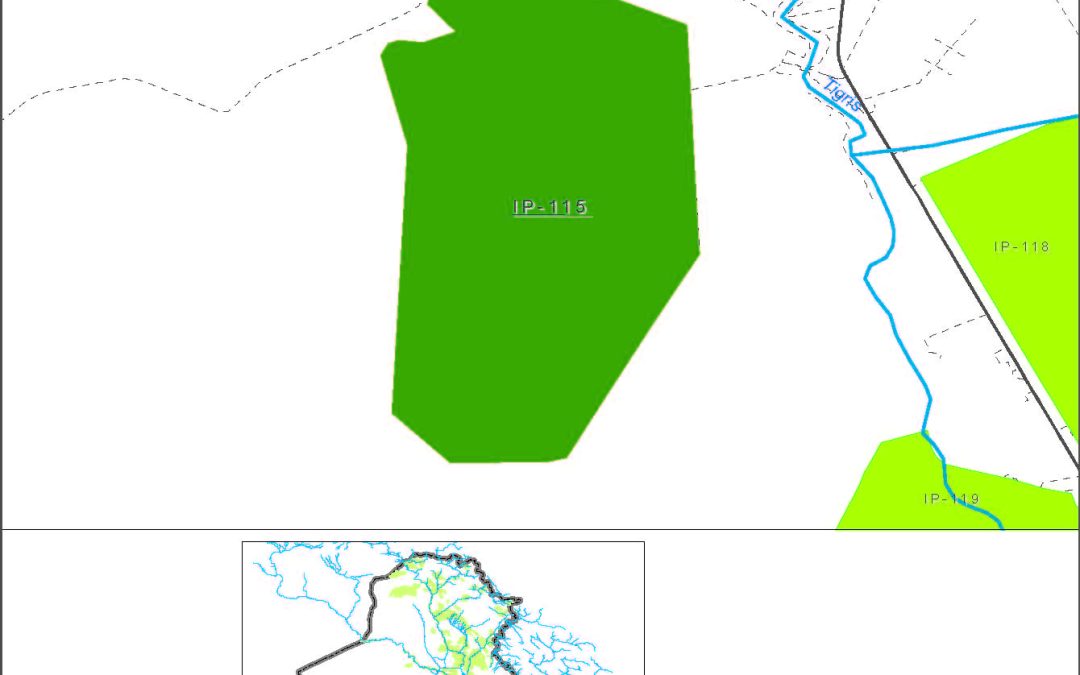 Abu-Bshout