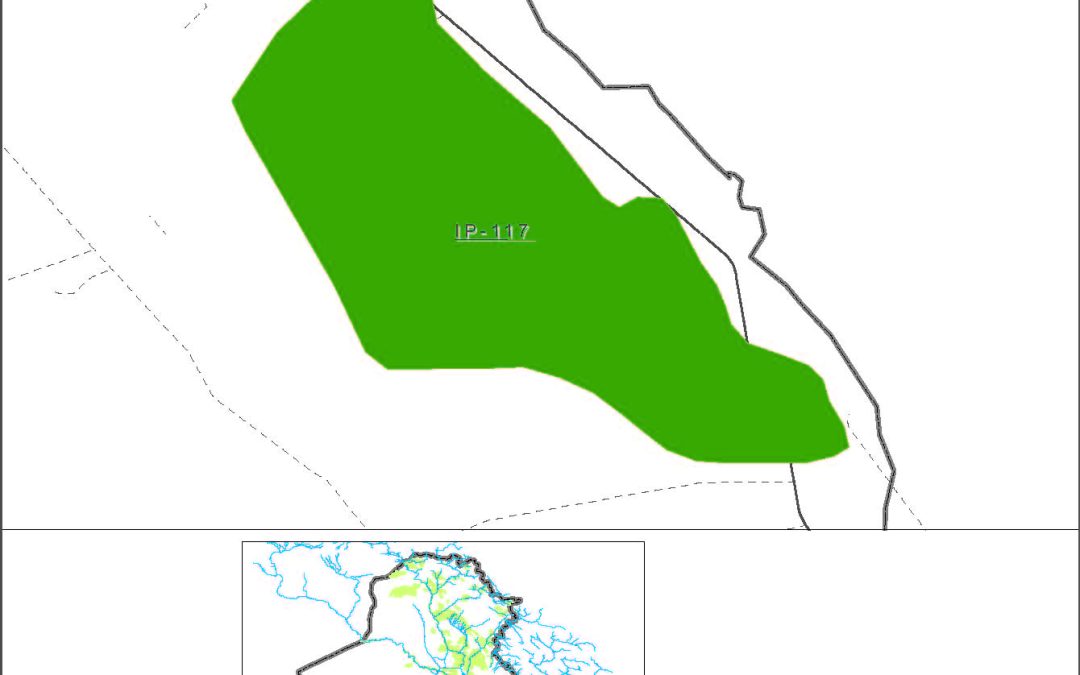 Duwairij