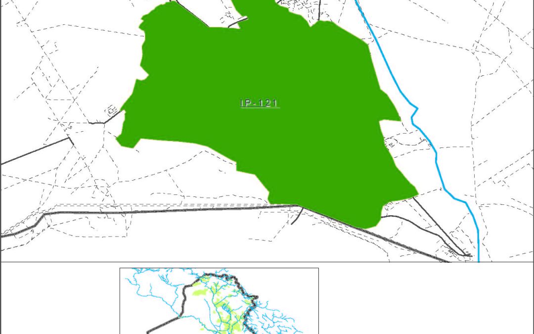 Zubair (Irrigated from Wells)