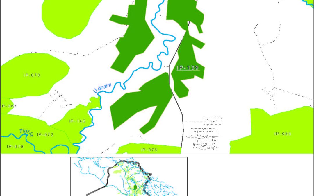 Kirkuk DS Udhaim