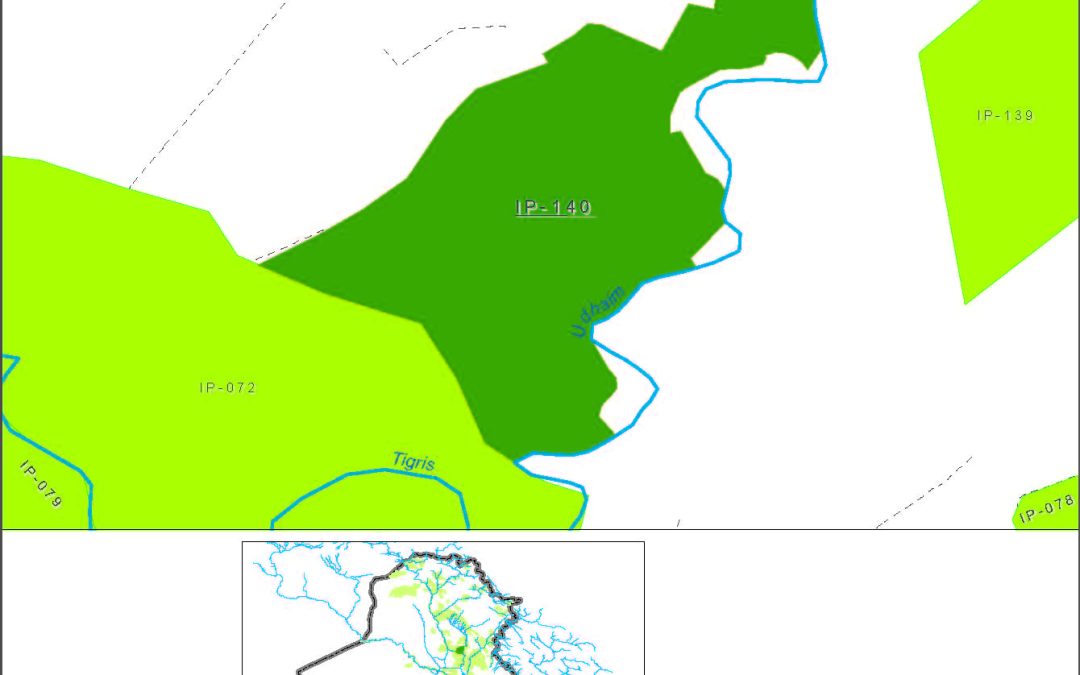 Dhalouia