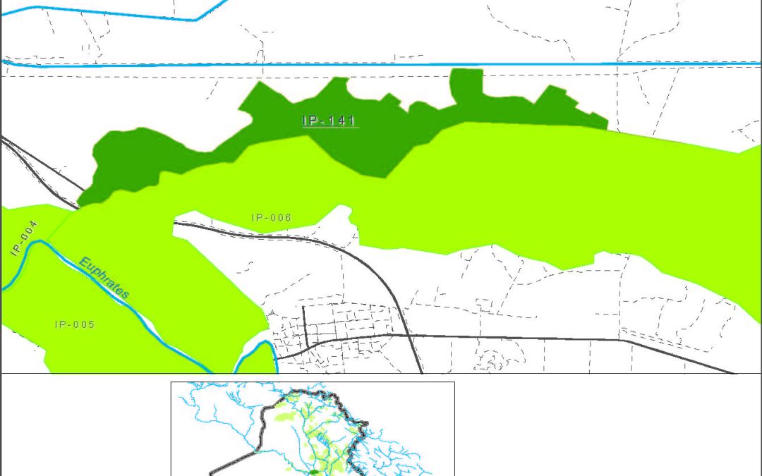Farms in the north of Saqlawiyah from Euphrate river and in the left of Saqlawiyah stream