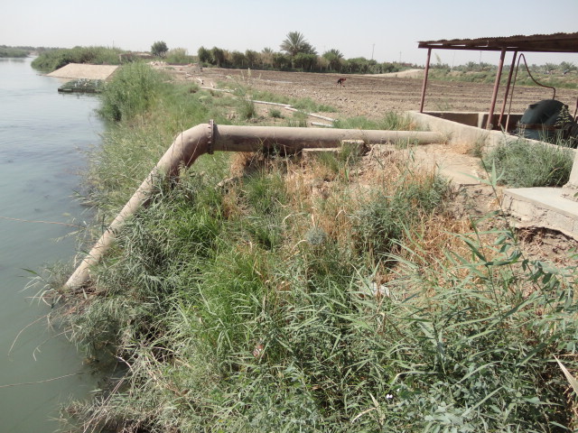 Al-Bueitha irrigation / 4