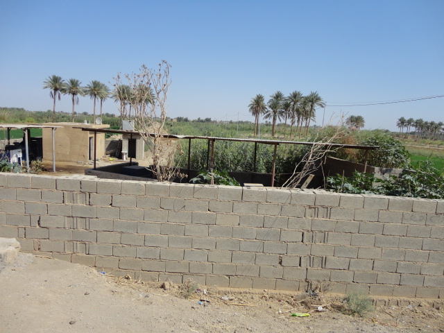Toy irrigation