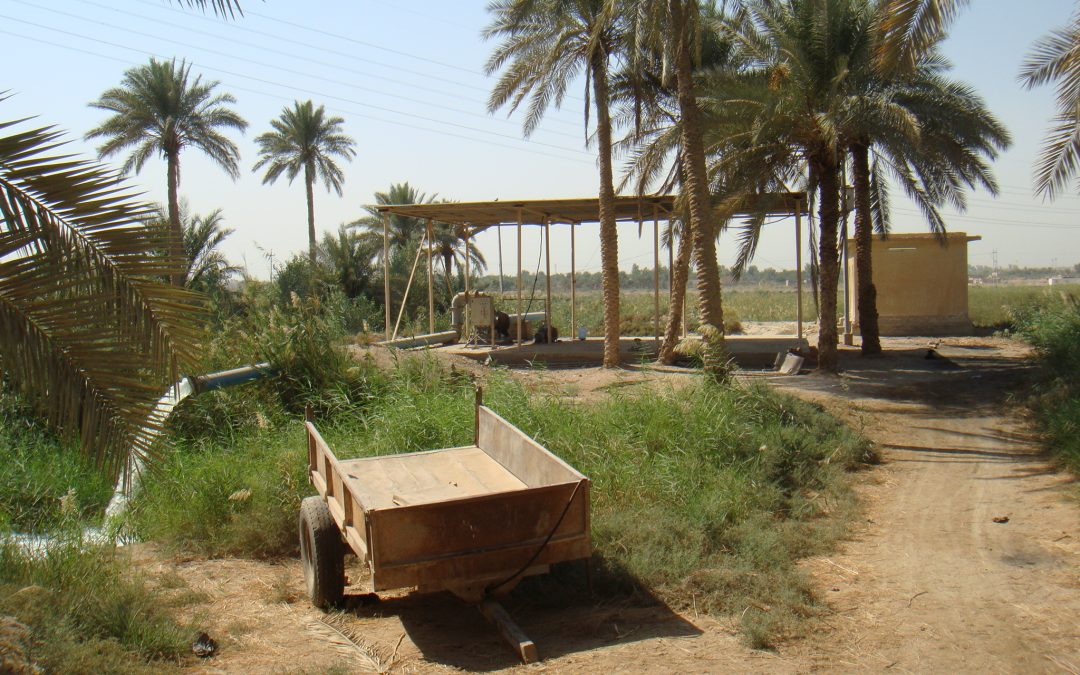 Al-Bakriya drainage