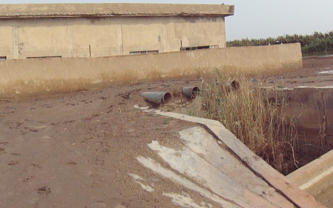 Al-Eshaqi drainage / 3 Al-Zuhayri