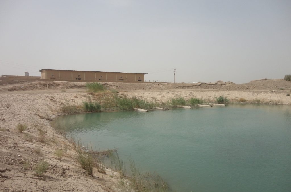 PS1 Irrigation