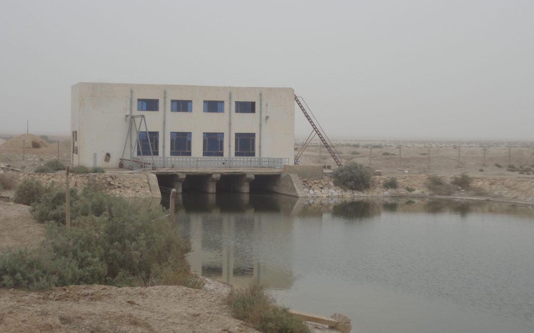 Al-Dawla farm drainage / Al-Dabbouni